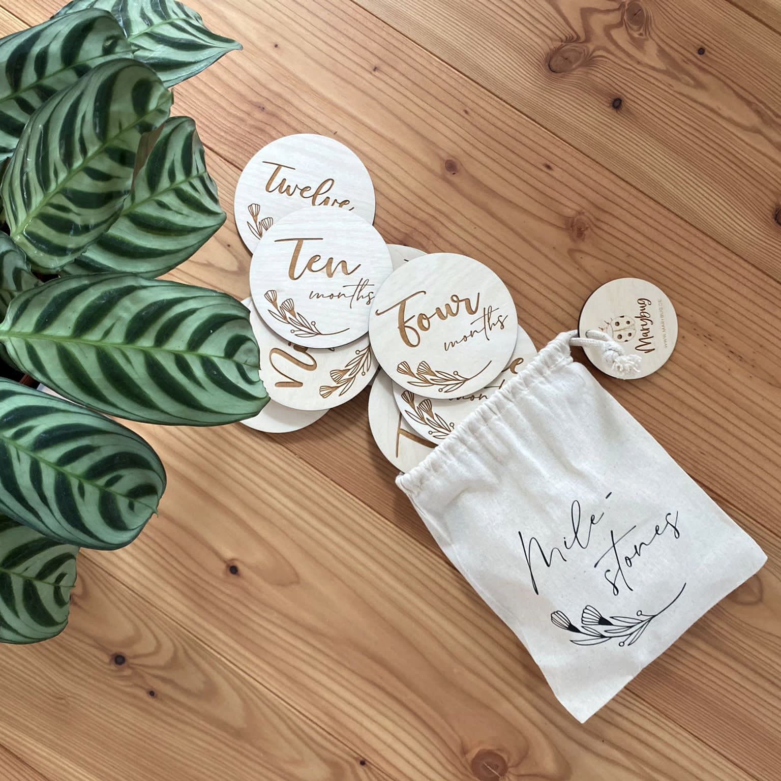 Baby Milestones "Mein erstes Jahr"