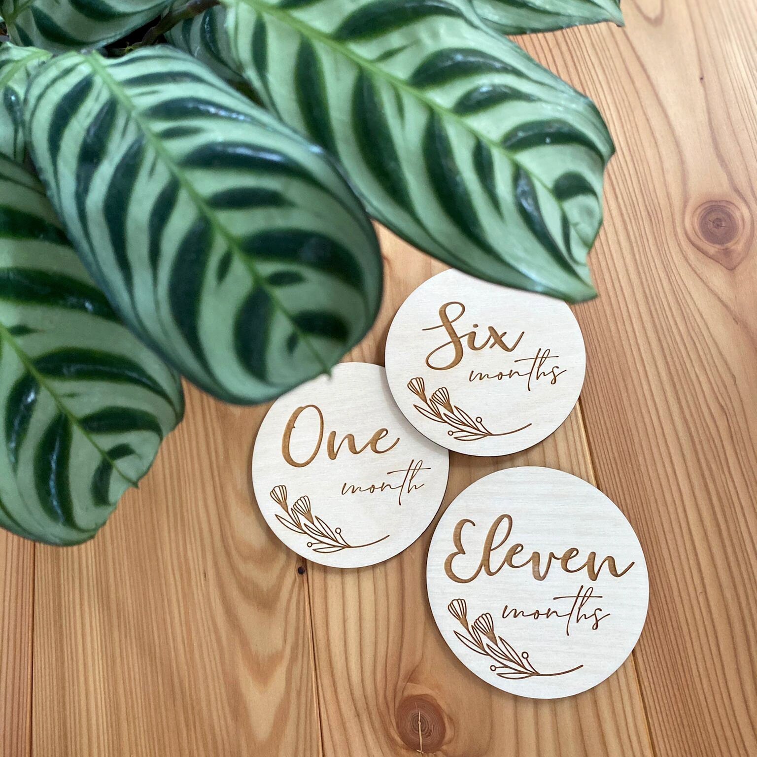 Baby Milestones "Mein erstes Jahr"