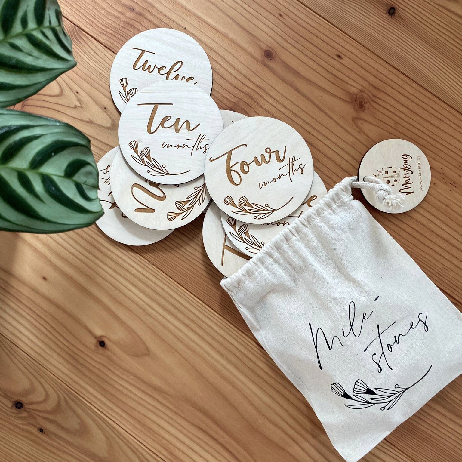 Baby Milestones "Mein erstes Jahr"