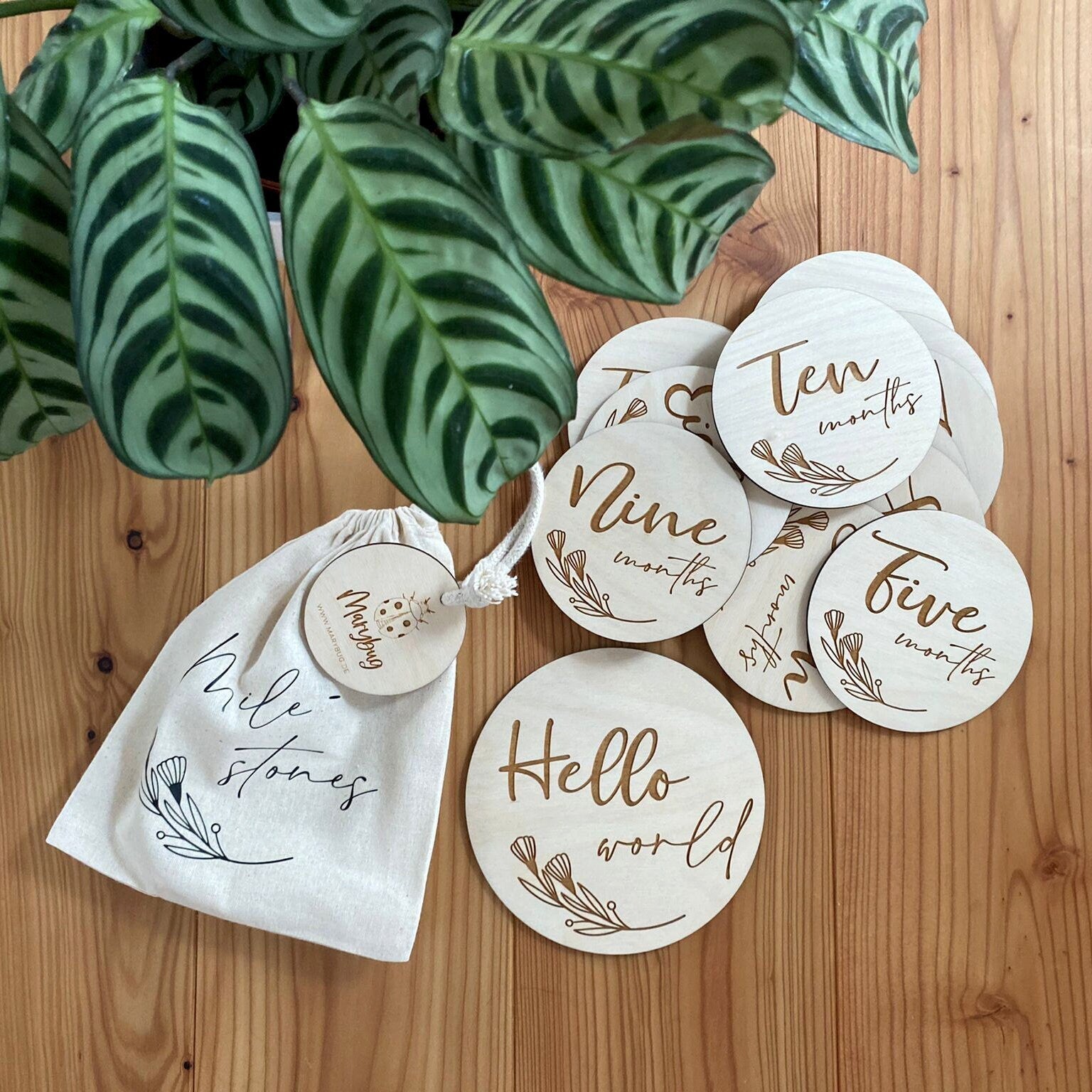 Baby Milestones "Mein erstes Jahr"