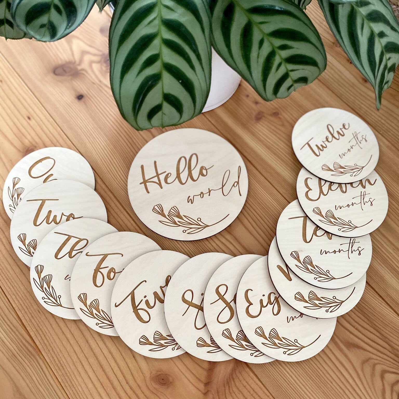 Baby Milestones "Mein erstes Jahr"