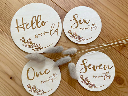 Baby Milestones &quot;Mein erstes Jahr&quot;